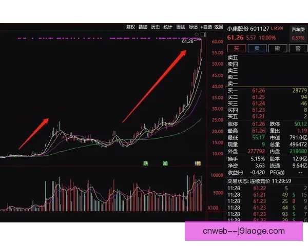 从状态起伏到关键爆发解读维尼修斯本赛季走势判断全面分析与未来预期